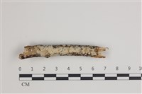 登錄號:F0035749藏品圖，第1張