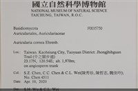 登錄號:F0035750藏品圖，第2張