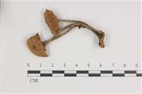 登錄號:F0035751藏品圖，第2張