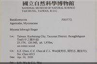 登錄號:F0035752藏品圖，第2張