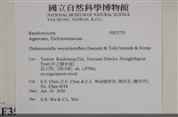 登錄號:F0035755藏品圖，第2張