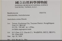 登錄號:F0035756藏品圖，第2張