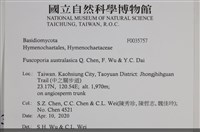 登錄號:F0035757藏品圖，第2張