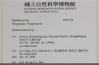 登錄號:F0035758藏品圖，第2張