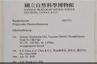 登錄號:F0035761藏品圖，第2張