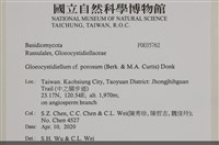登錄號:F0035762藏品圖，第2張