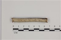 登錄號:F0035762藏品圖，第1張