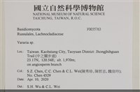 登錄號:F0035763藏品圖，第2張