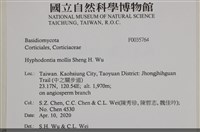 登錄號:F0035764藏品圖，第2張