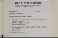 登錄號:F0035765藏品圖，第2張