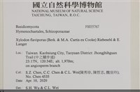 登錄號:F0035767藏品圖，第2張