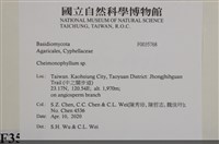 登錄號:F0035768藏品圖，第2張