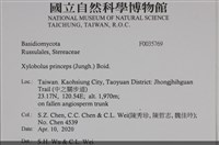 登錄號:F0035769藏品圖，第2張