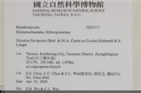登錄號:F0035771藏品圖，第2張