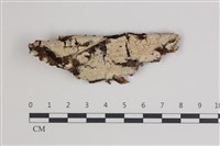登錄號:F0035772藏品圖，第1張