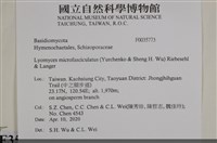 登錄號:F0035773藏品圖，第2張
