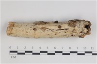 登錄號:F0035773藏品圖，第1張