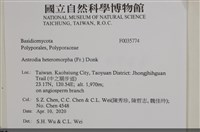 登錄號:F0035774藏品圖，第2張