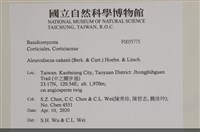 登錄號:F0035775藏品圖，第2張