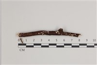 登錄號:F0035775藏品圖，第1張
