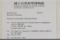 登錄號:F0035776藏品圖，第2張