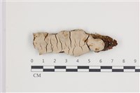 登錄號:F0035776藏品圖，第1張