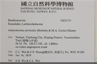 登錄號:F0035779藏品圖，第2張
