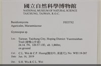 登錄號:F0035782藏品圖，第2張