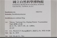 館號:F0035783藏品圖，第2張