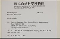 登錄號:F0035784藏品圖，第2張