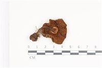 登錄號:F0035784藏品圖，第3張