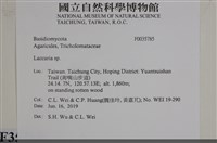 登錄號:F0035785藏品圖，第2張