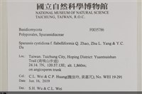 登錄號:F0035786藏品圖，第2張
