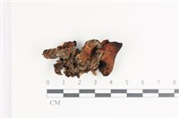 登錄號:F0035786藏品圖，第3張