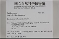 登錄號:F0035787藏品圖，第2張