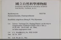 登錄號:F0035788藏品圖，第2張