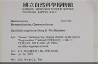 登錄號:F0035789藏品圖，第2張