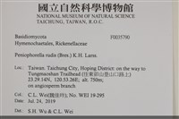 登錄號:F0035790藏品圖，第2張