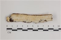 登錄號:F0035790藏品圖，第1張