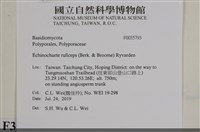 登錄號:F0035793藏品圖，第2張