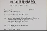登錄號:F0035795藏品圖，第2張