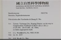 登錄號:F0035796藏品圖，第2張