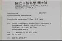 登錄號:F0035797藏品圖，第2張