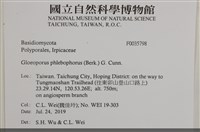 登錄號:F0035798藏品圖，第2張