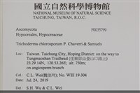 登錄號:F0035799藏品圖，第2張