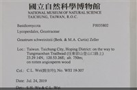 登錄號:F0035802藏品圖，第2張