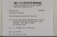 登錄號:F0035804藏品圖，第2張