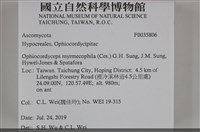 登錄號:F0035806藏品圖，第2張