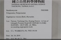登錄號:F0035808藏品圖，第2張