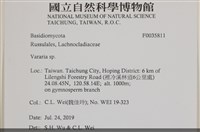 登錄號:F0035811藏品圖，第2張